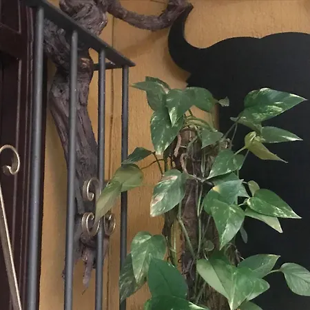 Nova Centro Jerez de la Frontera