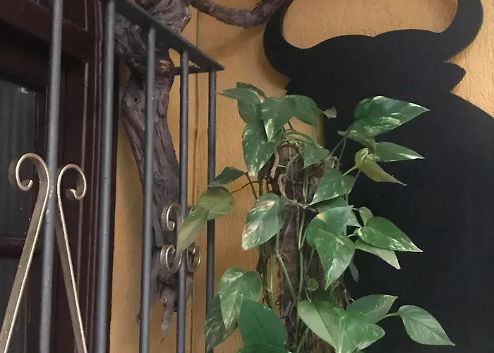 Nova Centro Херес-де-ла-Фронтера