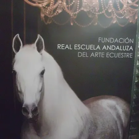 新中心酒店 赫雷斯