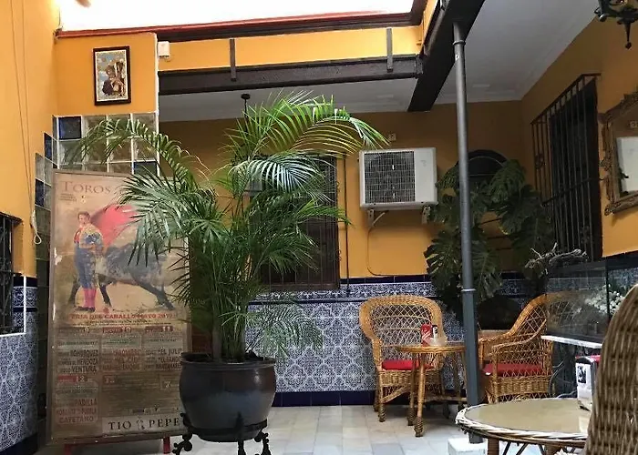 Nova Centro فندق 2*